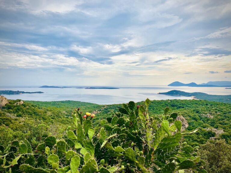 Experience Sardinia:North Coast Tour Between Sea and History