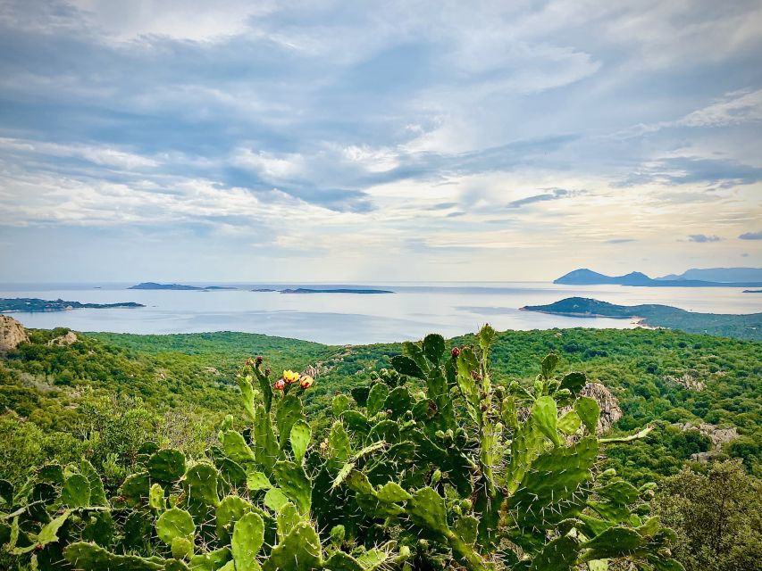 Experience Sardinia:North Coast Tour Between Sea and History - A Detailed Look at the Itinerary and What You’ll Experience