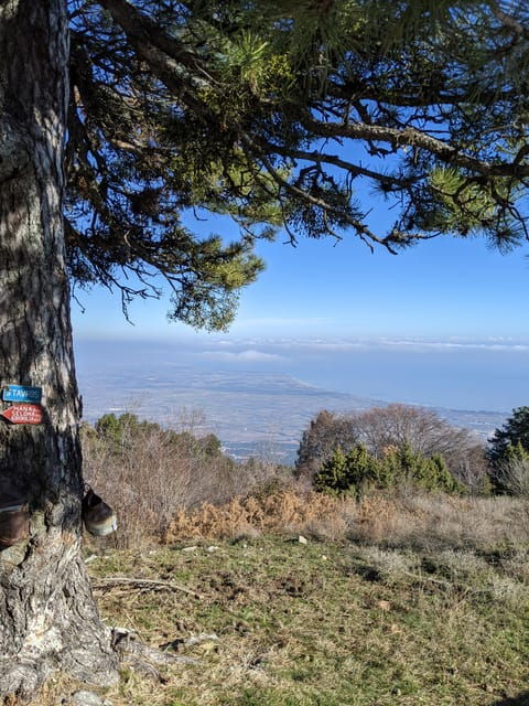 Explore Mount Olympus & Dion: History & Nature Day Trip