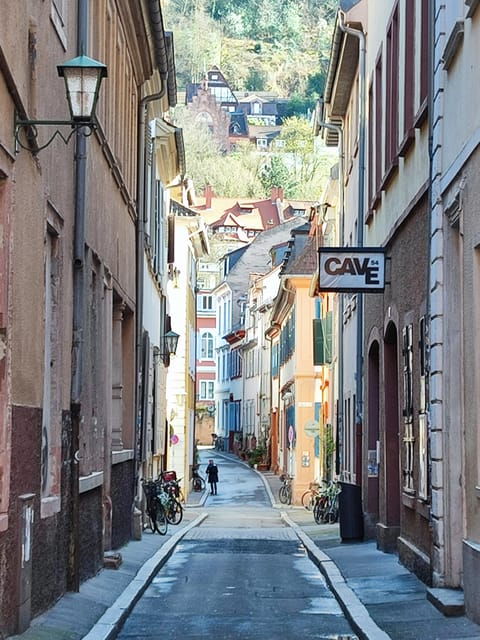 EXPRESS TOUR of Historic Heidelberg - The Highlights in 1 h - A Closer Look at the Heidelberg Express Tour