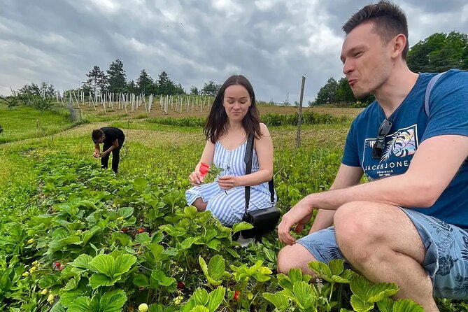 FARM STAY EXPERIENCE & DOZZA – Private Day Tour From Bologna