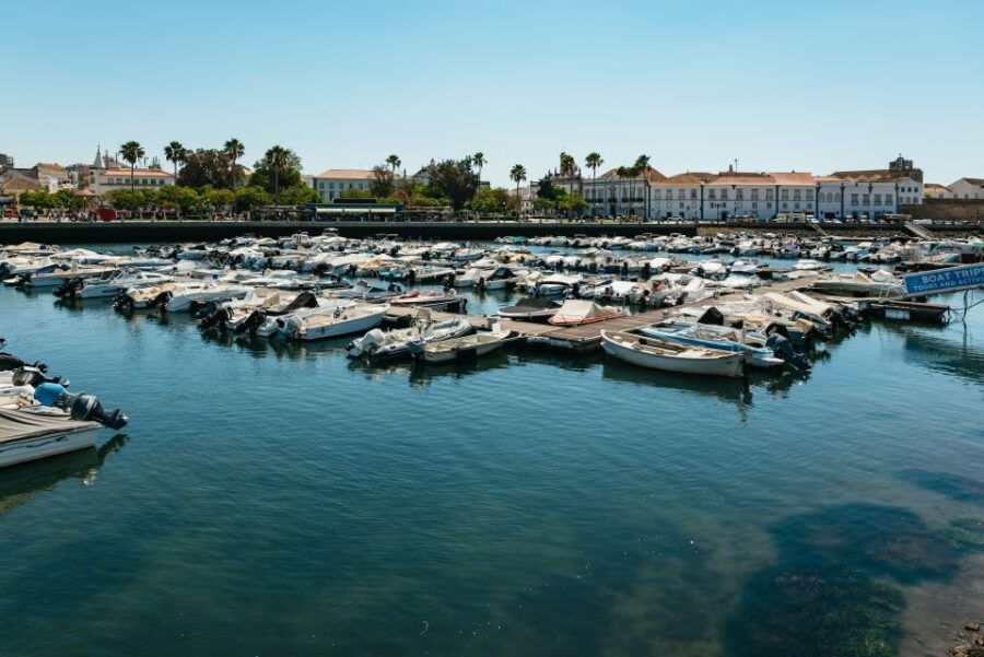Faro: Deserta Island and Farol Island Catamaran Boat Trip - An In-Depth Look at the Catamaran Experience