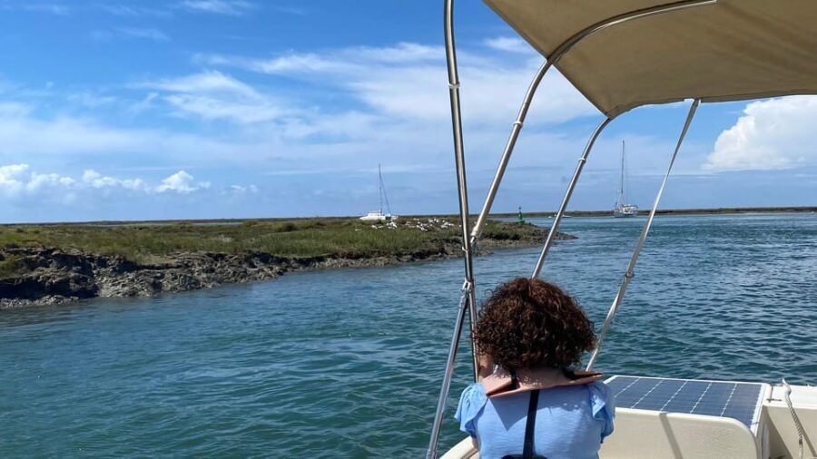 Faro: Ria Formosa Boat Tour by Eco-Friendly Solar Boat - Exploring the Ria Formosa with a Sustainable Touch