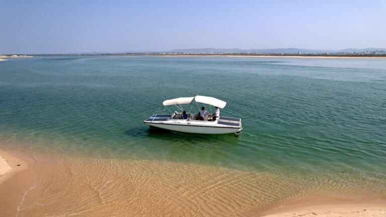 Faro: Ria Formosa Eco Birdwatching Boat Tour