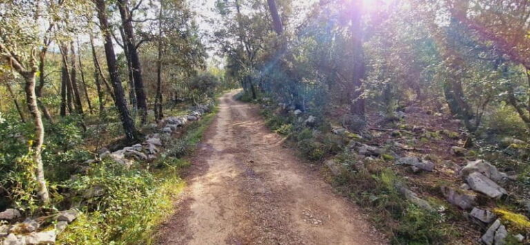 Fátima: E-Bike Tour to Dinosaur Footprints Natural Monument