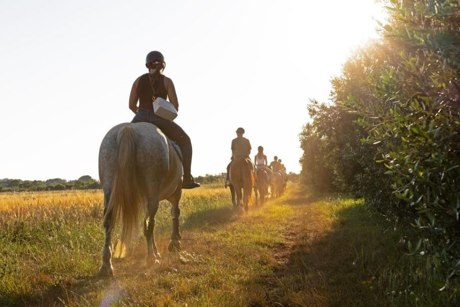 Fazana: Sunset 1-hour Horse Riding in Nature with Guide - What to Expect During Your Horseback Ride