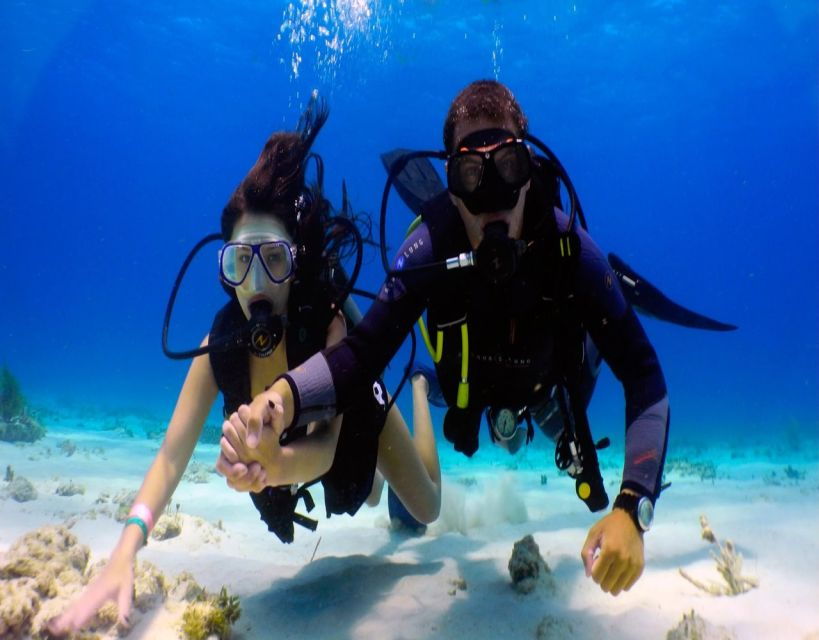 Fethiye: 2 Guided Scuba Dives with Lunch and Hotel Transfers - What to Expect from the Fethiye Scuba Tour