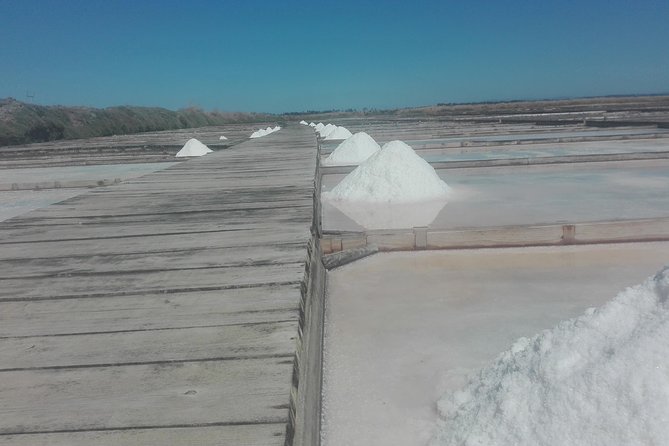 Figueira da Foz by rice paddies and salines, half-day from Coimbra