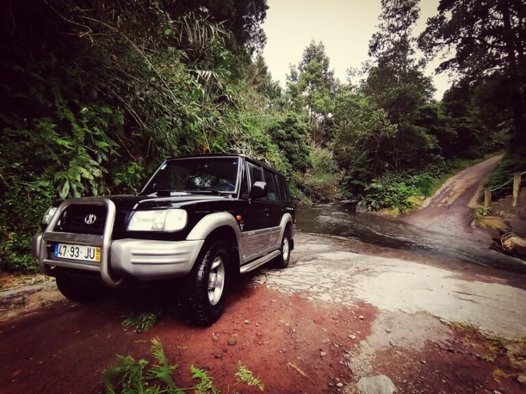 Fire Lake, Pineapple & Tea: Half-Day Jeep Tour