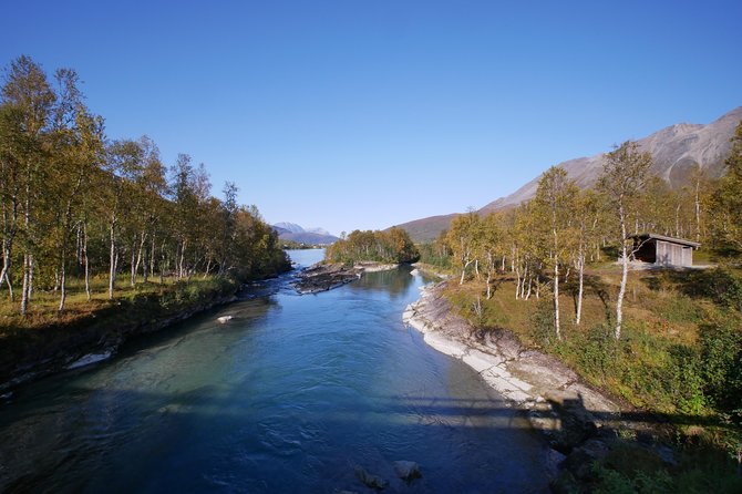 Fishing from shore - An In-Depth Look at the Shore Fishing Tour in Tromsø