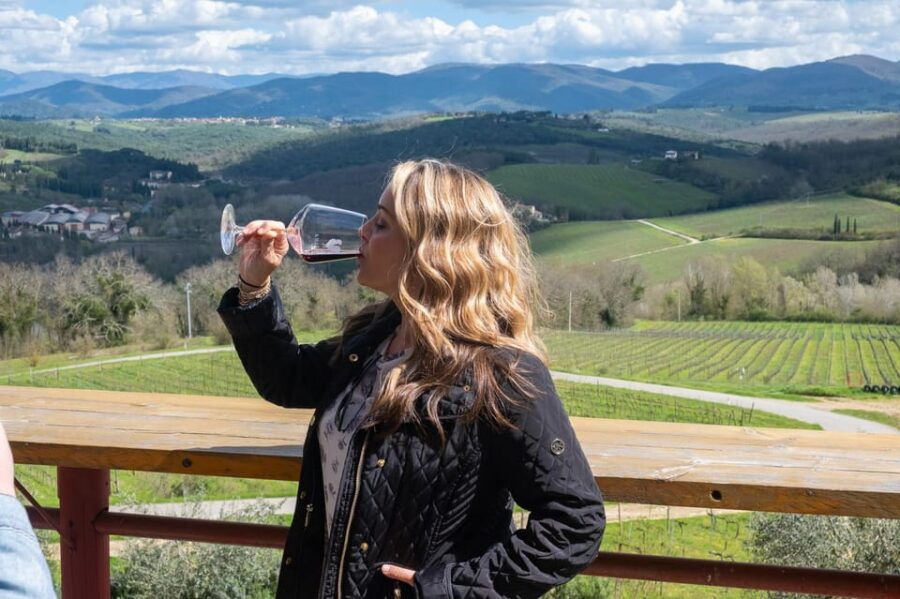 Florence: day trip to Montalcino with 2 Wineries and Lunch - An Introduction to the Montalcino Day Trip