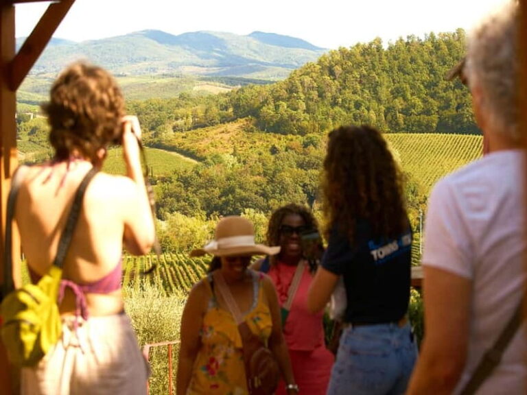 Florence: Great Chianti Wine and Olive Oil Trail with Lunch
