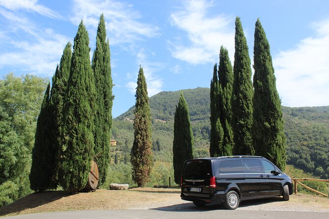 Florence & Pisa Tour by van from Lucca or Livorno port