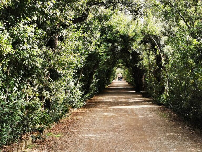 Florence: Pitti Palace, Boboli Garden, Palatine Gallery Tour