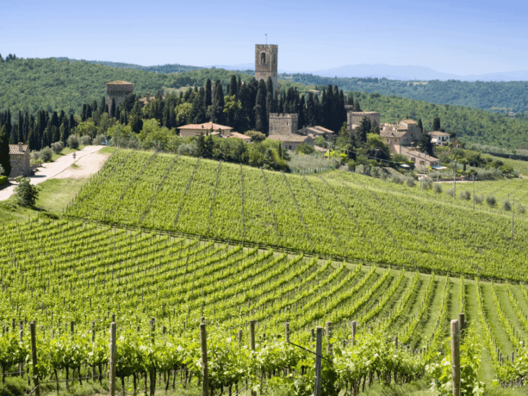 Florence: Tuscan Day trip Siena San Gimignano, Pisa,