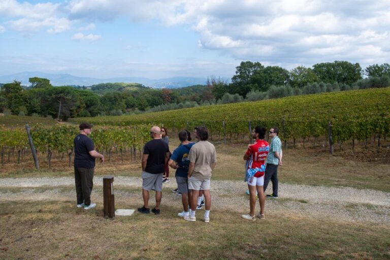 Florence: Tuscany Countryside Guided E-Bike Tour with Lunch