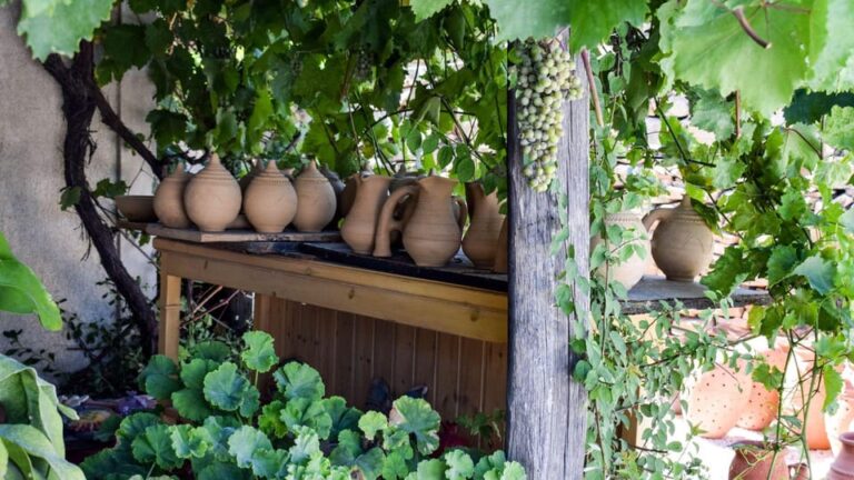 Following Naxian Pottery tradition & Visit Halki village