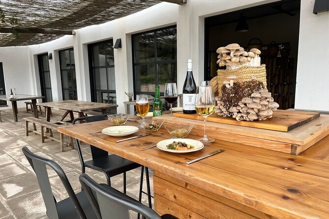 Food experience in mushroom cultivation (tour not included) - Good To Know