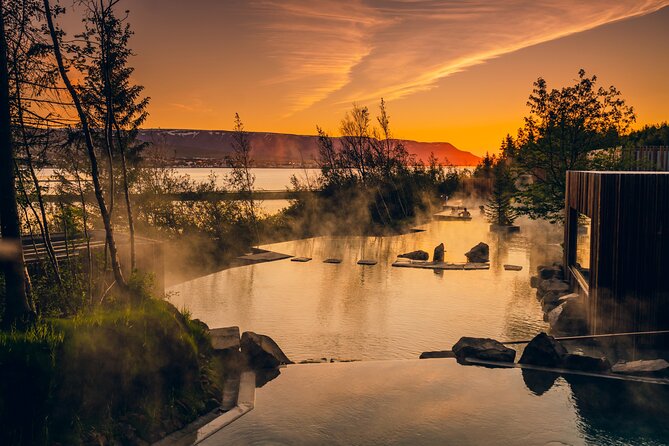 Forest Lagoon and Northern Lights Guided Night Tour - Good To Know