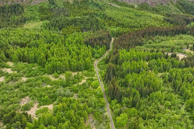 Forest Lagoon Ebike Tour Akureyri - What the Tour Entails: A Deep Dive into the Itinerary