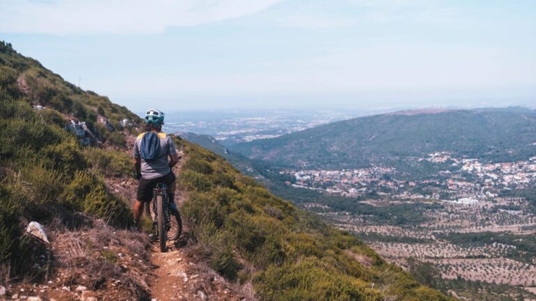 Fórnea E-bike and Olive Oil tour