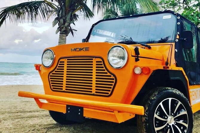 Fort Lauderdale Moke City Tour - What is the Fort Lauderdale Moke City Tour?