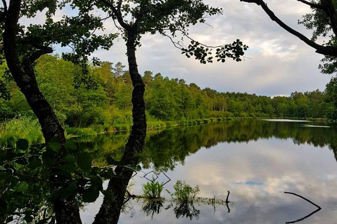 Four Natural Ecosystems In One Hike