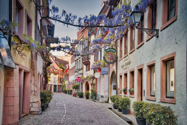 Freiburg: Gässle, Bächle and More City Tour