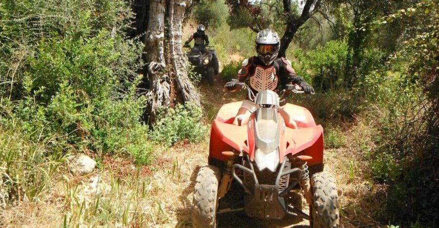 From Albufeira: Paderne Adventure Quad Ride - What to Expect from the Paderne Quad Tour