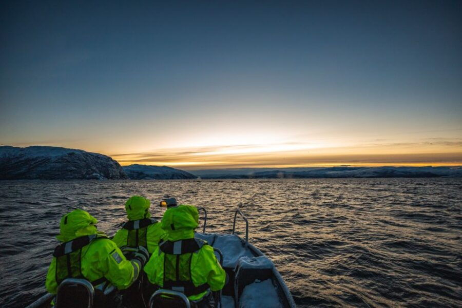From Alta: Small Group Whale Watching by RIB - An In-Depth Look at Your Whale Watching Adventure