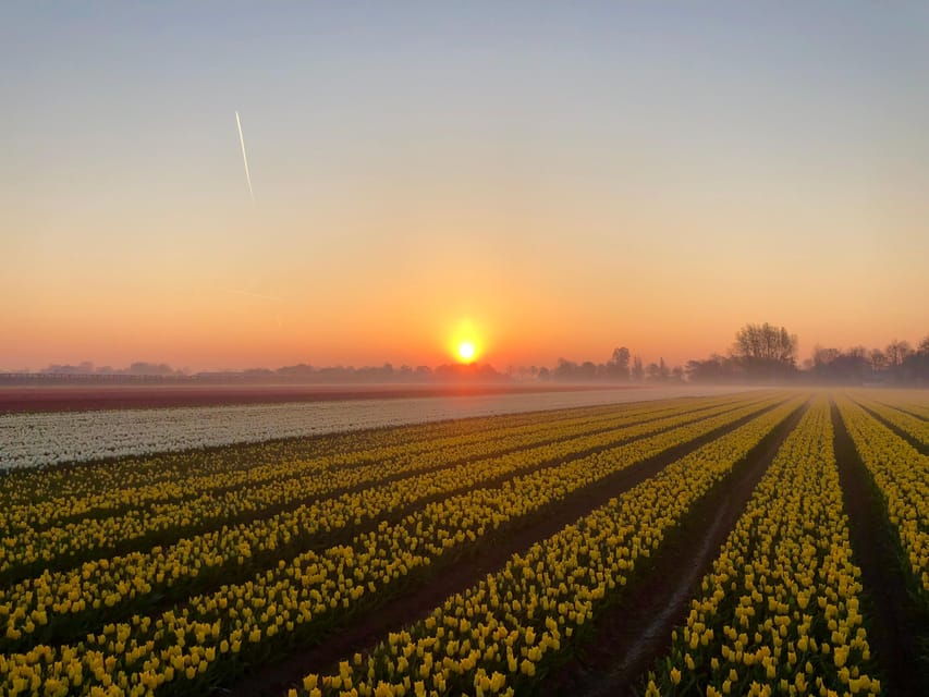From Amsterdam: The Tulip Sunset Tour with Dinner - Frequently Asked Questions