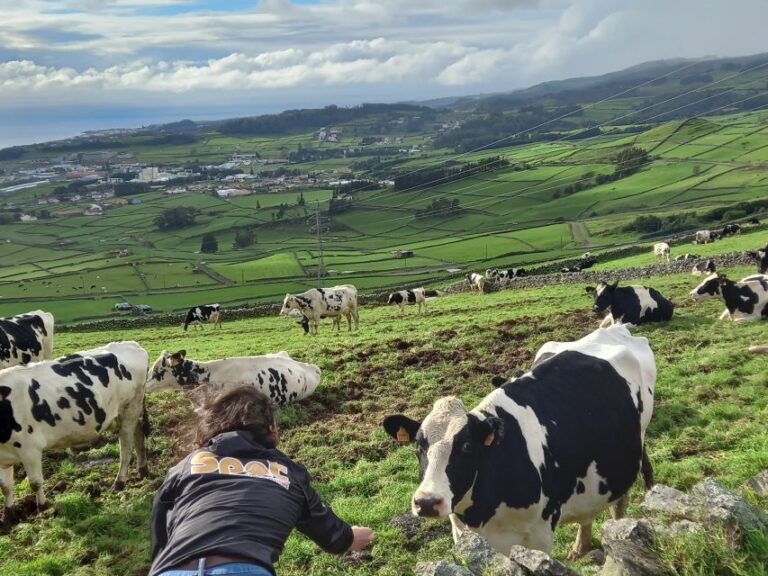 From Angra: Terceira Island Full-Day Jeep Tour (Shared Tour)