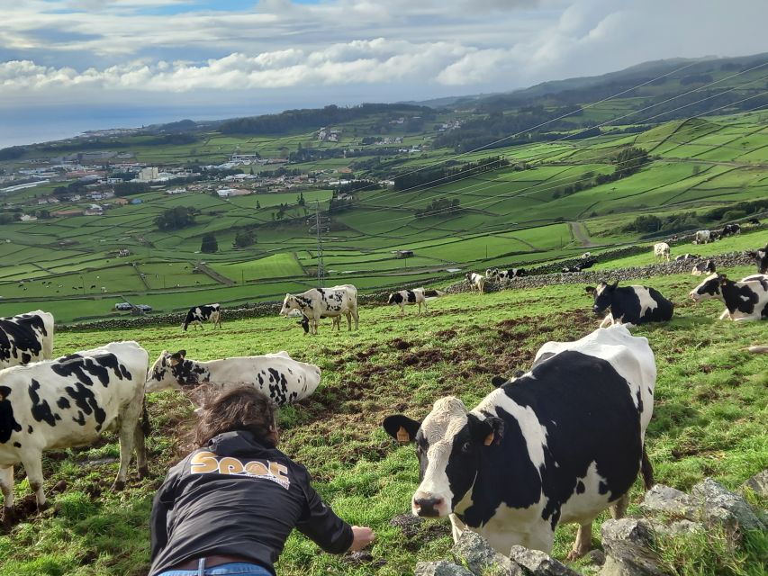 From Angra: Terceira Island Full-Day Jeep Tour (Shared Tour) - Good To Know
