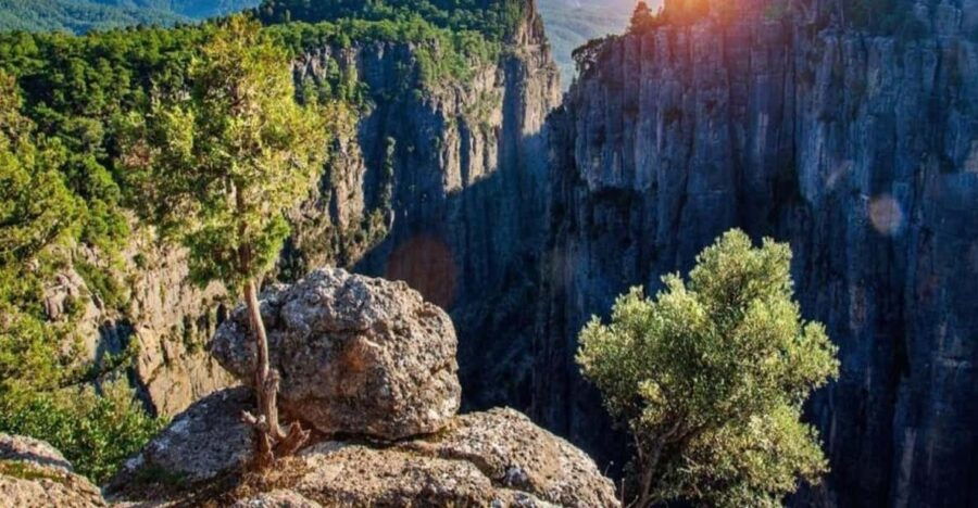 From Antalya: Rafting, Safari, Canyons & Zipline Super Combo - The True Value of This Tour  