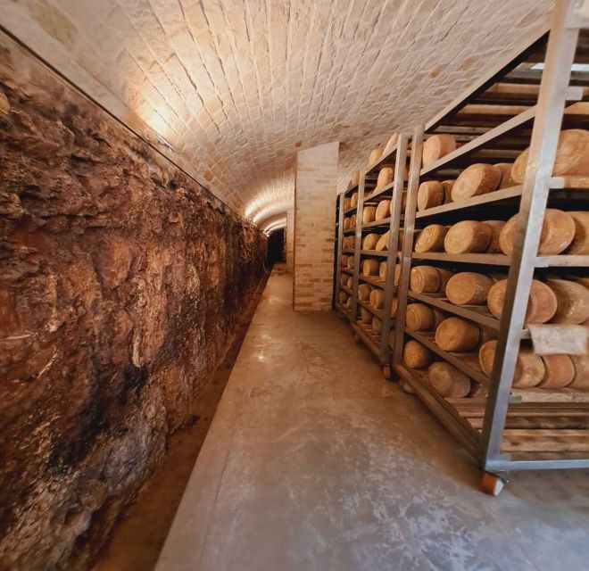 From Bari: Burrata cheese experience in a local dairy farm