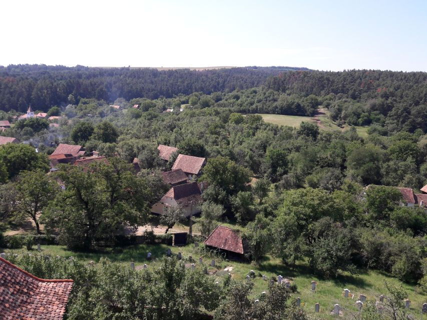 From Brasov: Sighisoara, Viscri, and Rupea Unesco Day Trip - Why This Tour Offers Great Value