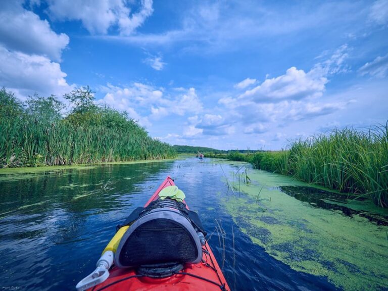 From Bucharest: Neajlov River Kayaking Adventure