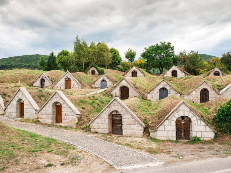 From Budapest: Tokaj Wine Tour with Tasting and Lunch