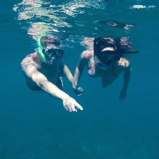 From Cannigione: Private Boat Tour, Snorkeling in Tahiti - Good To Know