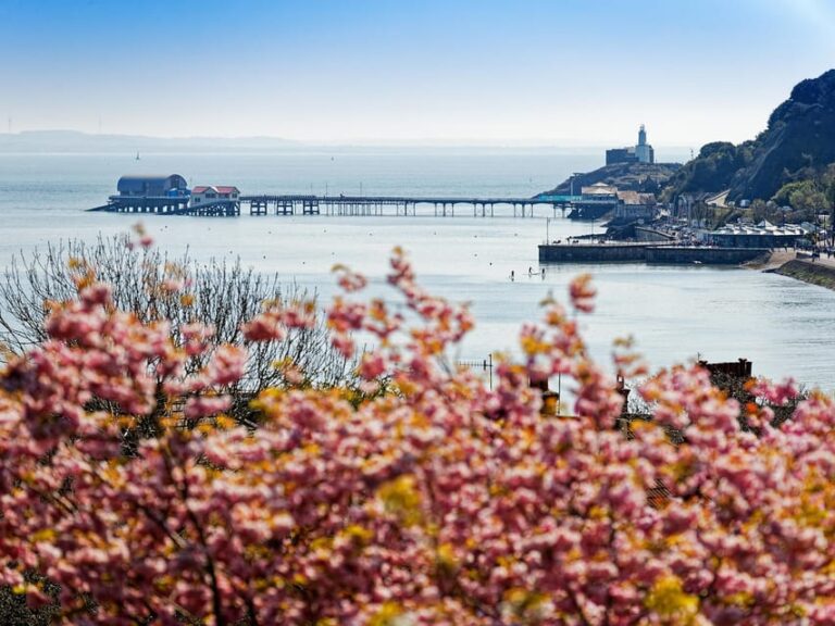 From Cardiff: Golden Gower Coast, Swansea & Mumbles Day Tour