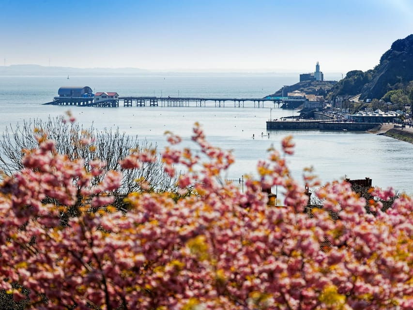 From Cardiff: Golden Gower Coast, Swansea & Mumbles Day Tour - The Itinerary in Depth