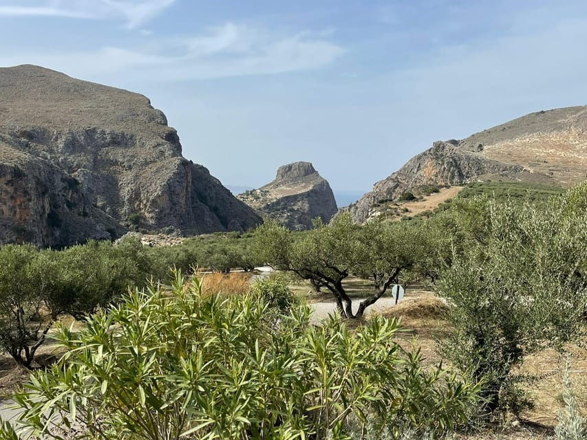 From Chania: Wine, Honey & Olive Oil Private Tour - A Detailed Look at the Experience