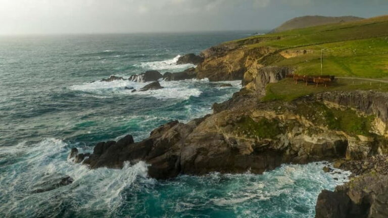 From Cork: Ring of Kerry & Killarney Guided Full Day Tour