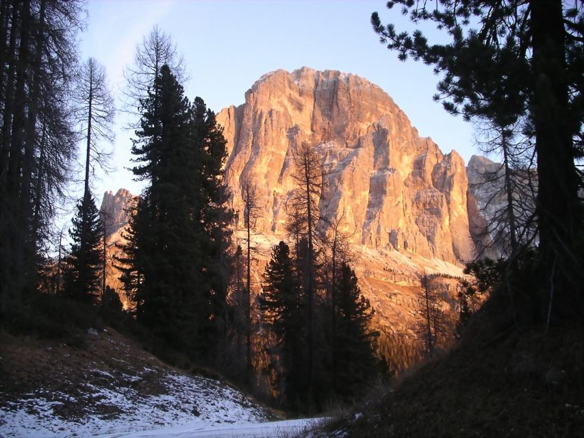 From Cortina: Full-Day Dolomites Mountains Tour - An In-Depth Look at the Dolomites Full-Day Tour