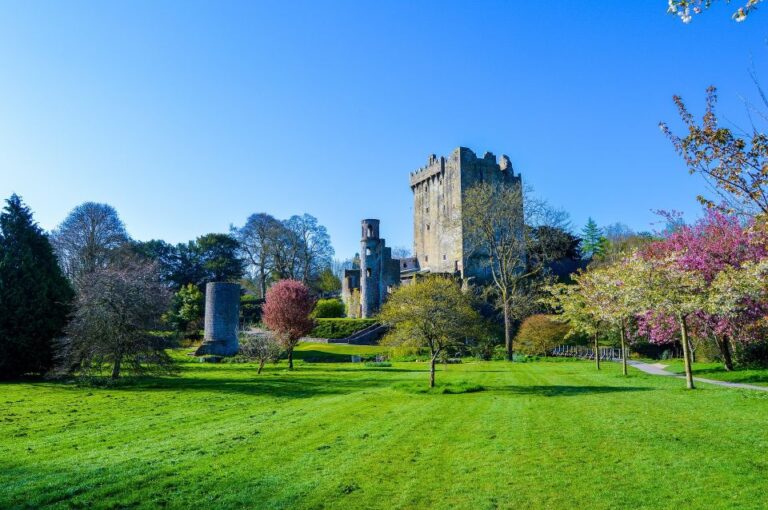From Dublin: 3-Day Cork, Ring of Kerry, Ciffs of Moher Tour