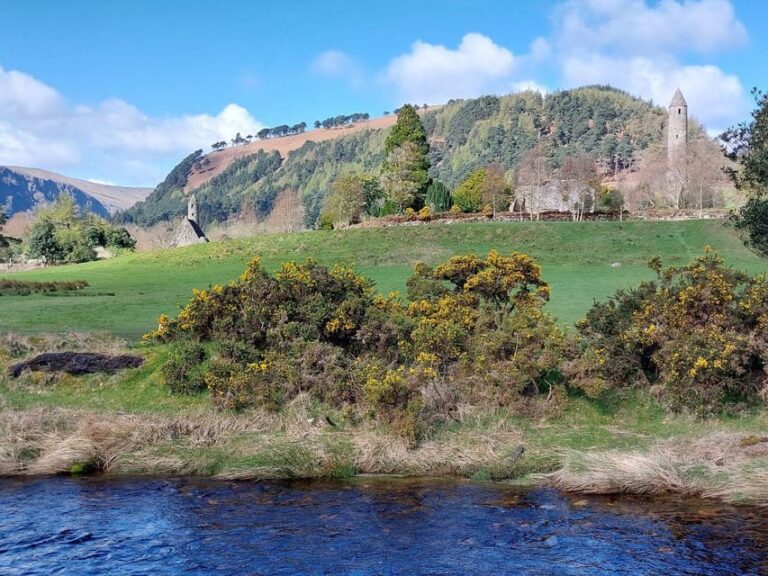 From Dublin: Best of Wicklow Private Tour