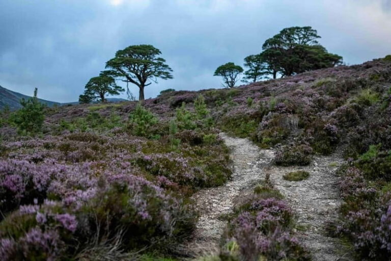 From Edinburgh: 4,000ft Mountain Hike – Scottish Highlands