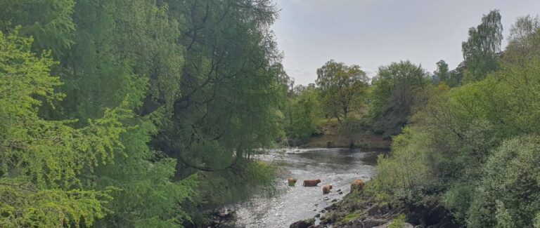 From Edinburgh: a Private Tour to a Majestic Highland Glen