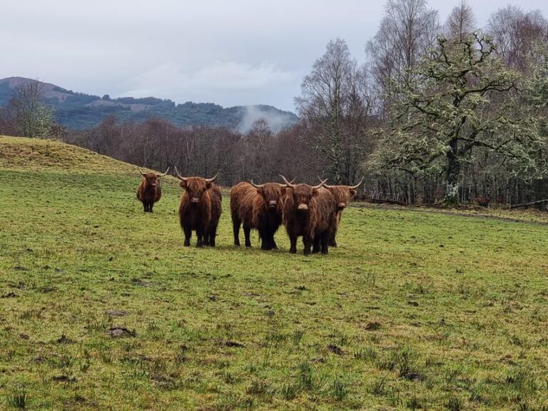 From Edinburgh: Loch Ness Private Day Tour with Transfers