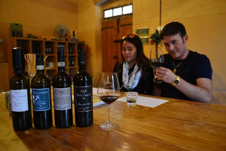 From Florence: Small-Group Chianti Wine Tour